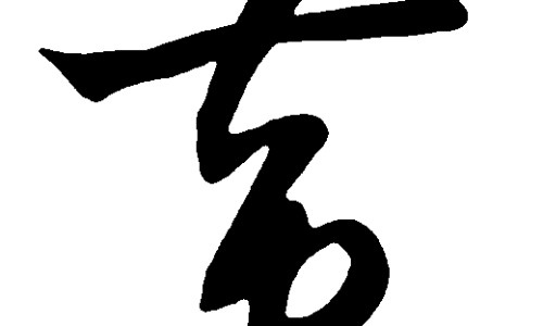 白花藤的功效与作用、白花丹叶子功效与偏方 -白花丹的功效与作用图片网