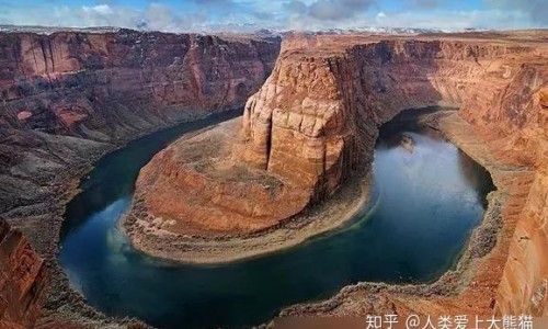 白花丹的图片和功效及配方-白花藤的功效与作用、白花丹叶子功效与偏方 -白花丹的功效与作用图片网