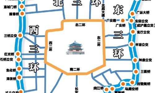 白花藤的功效与作用、白花丹叶子功效与偏方 -白花丹的功效与作用图片网
